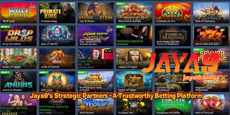 Maximize Your Winnings A Comprehensive Guide to Live Casino Bet Tracking Tools