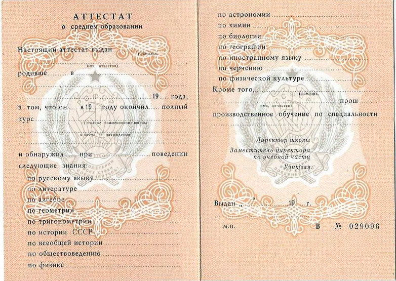 Типы дипломных исследований Обзор и особенности Типы дипломных исследований Обзор и особенности